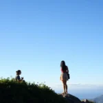 yerba-buena